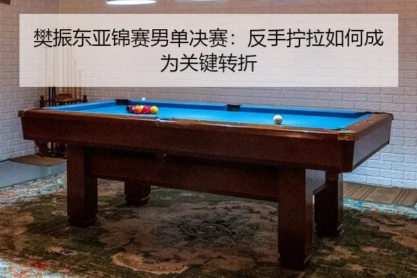 樊振东亚锦赛男单决赛：反手拧拉如何成为关键转折