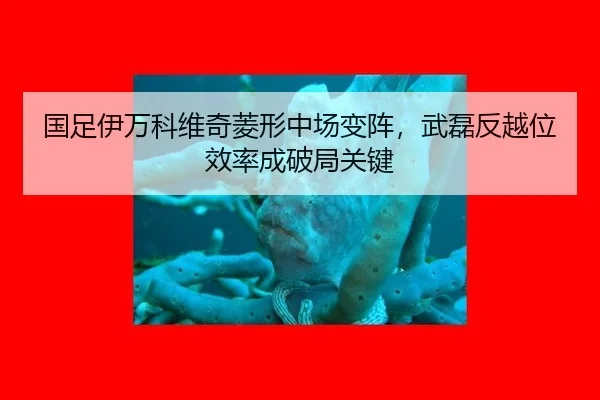 guo-zu-yi-wan-ke-wei-qi-ling-xing-zhong-chang-bian-zhen-wu-lei-fan-yue-wei-xiao-lv-cheng-po-ju-guan-jian-3-987.jpg