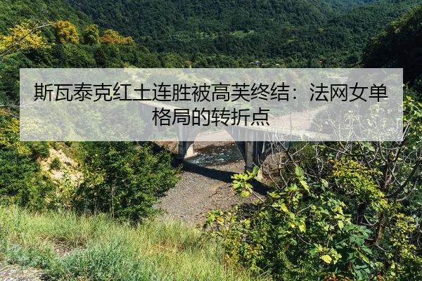 si-wa-tai-ke-hong-tu-lian-sheng-bei-gao-fu-zhong-jie-fa-wang-nv-dan-ge-ju-de-zhuan-zhe-dian-2-903.jpg