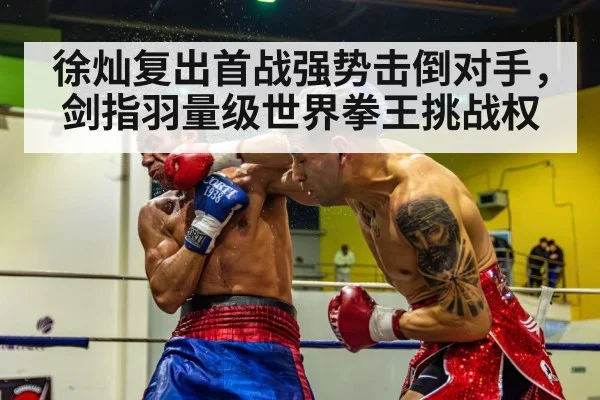 boxing knockout punch
